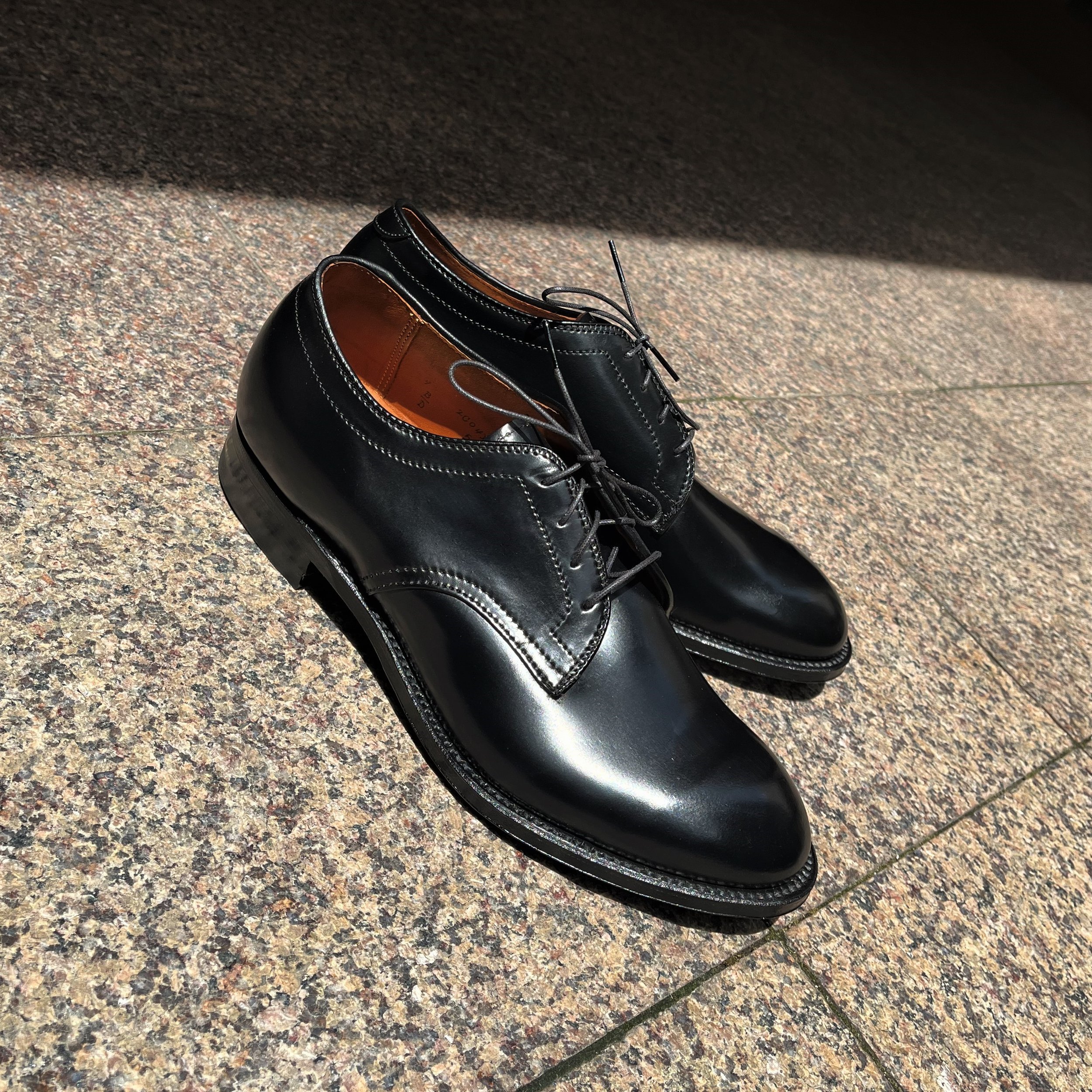 ツリー付】ALDEN #53501 cordovan 8B/D 26cm
